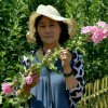 芝的头像