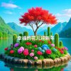 小兰兰（停币.花互动）的头像