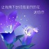 梦吧性星点亮的头像