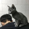 孤岛的头像