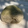 小希的头像