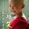 骏马的头像