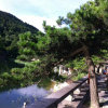 思无邪的头像