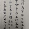 皮卡特的头像