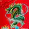 二毛的头像