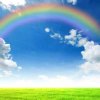 彩虹的头像