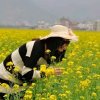 Huangzl的头像