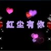 红尘有你的头像