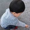 小太阳（凯儿得乐纸尿裤）的头像