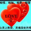 心灵之约的头像