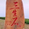 一路向北的头像