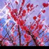 馨海棠依旧【接待部】的头像