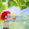 人生如梦的头像
