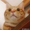 clarence的头像