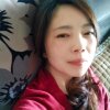 大雁南飞的头像