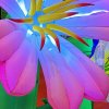 春暖花开的头像