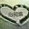 适者生存的头像