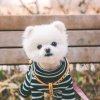 梓烨的头像