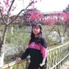 如风的头像