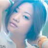 红玫瑰的头像