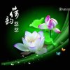 蝴蝶为花醉！花却随风飘！的头像