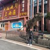 我心永恒的头像