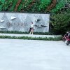 相信明天的头像