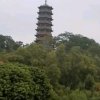 阿国的头像