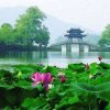 黎春萍的头像