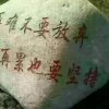 遇一人白首，选一城终老!的头像