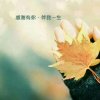 静的头像