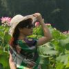 陌上花开的头像
