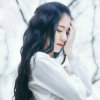 251314的头像