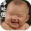毛豆的头像