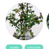 清水河的头像