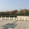 忆伤的头像