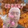 开心玫玫瑰的头像