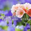 笑一笑便是福的头像