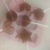 完美的头像