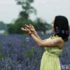 绿色田野的头像