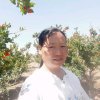 明天的头像