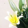 云三月小雨的头像