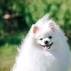 小硕的头像