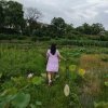 重阳的头像