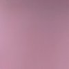 alivc的头像