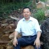 杨小友的头像