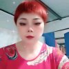 蓝缘小燕子的头像