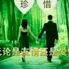 闲客的头像