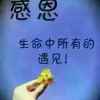 三羊开泰的头像