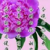 真爱一生的头像